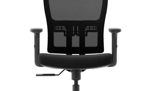 Silla de Oficina Ergonómica Evox Ultimate GM1